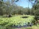 Photo - 2140 Tableland Road, Mount Maria QLD 4674 - Image 2