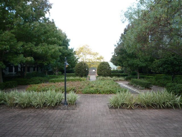 Photo - 21/45 Trafalgar Street, Annandale NSW 2038 - Image 8