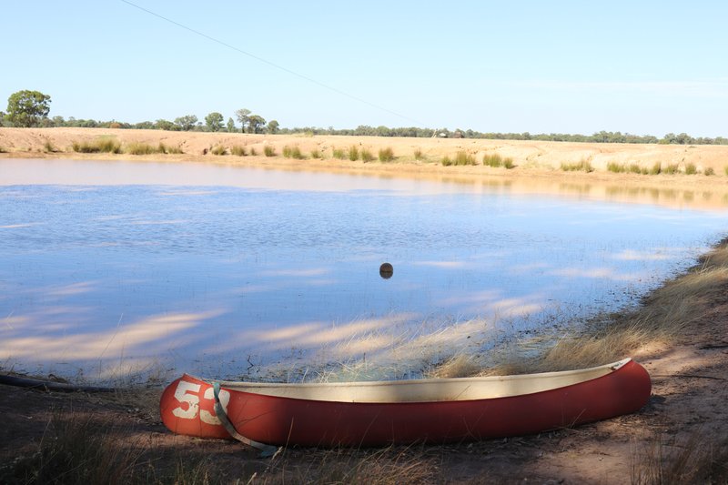 Photo - 2148 Adavale Lane, Parkes NSW 2870 - Image 7