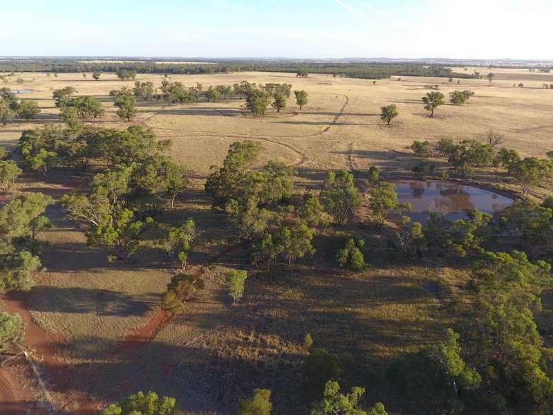 Photo - 2148 Adavale Lane, Parkes NSW 2870 - Image 10