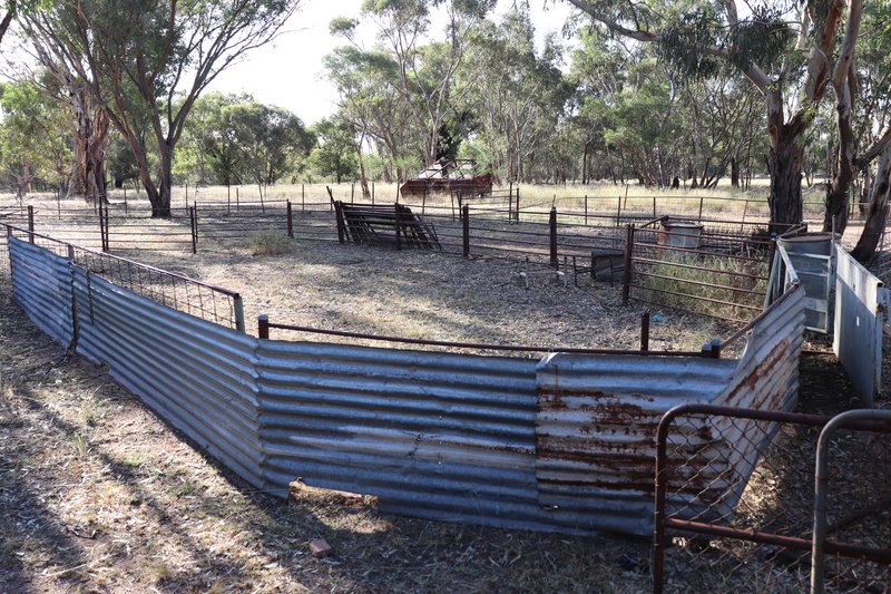 Photo - 2148 Adavale Lane, Parkes NSW 2870 - Image 30