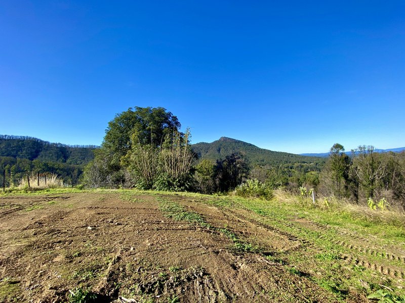 Photo - 2148 Comboyne Road, Killabakh NSW 2429 - Image