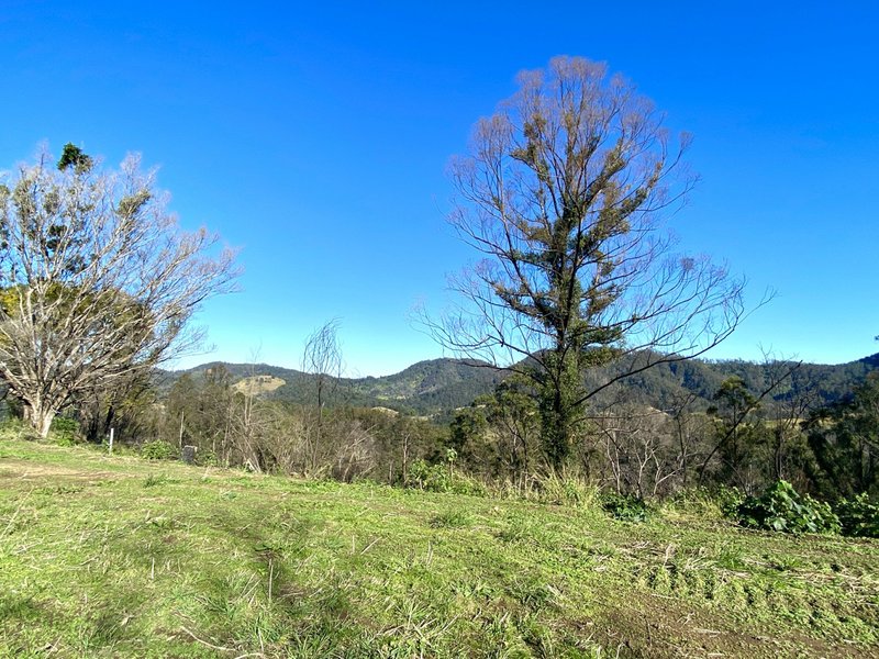 Photo - 2148 Comboyne Road, Killabakh NSW 2429 - Image 6