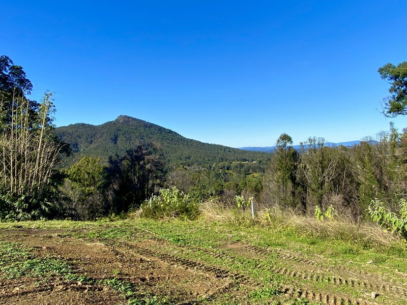 Photo - 2148 Comboyne Road, Killabakh NSW 2429 - Image 16