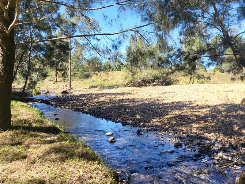 Photo - 215 East Funnel Creek Road, Sarina Range QLD 4737 - Image 31