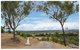Photo - 215 Fairy Bower Road, Gracemere QLD 4702 - Image 5