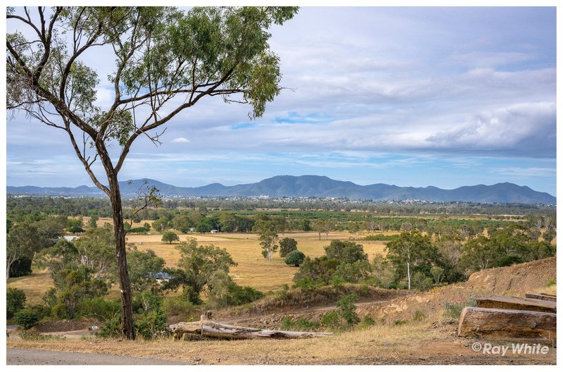 Photo - 215 Fairy Bower Road, Gracemere QLD 4702 - Image 32