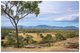 Photo - 215 Fairy Bower Road, Gracemere QLD 4702 - Image 32