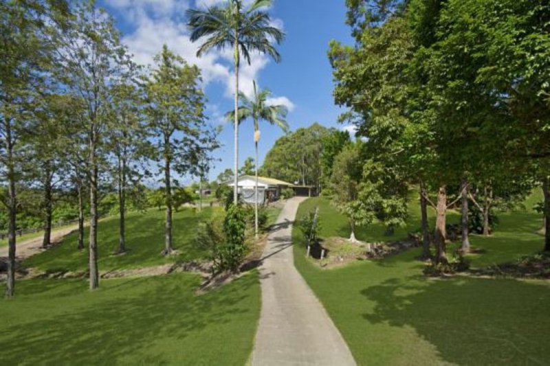 Photo - 215 Landsborough Maleny Road, Mount Mellum QLD 4550 - Image 2