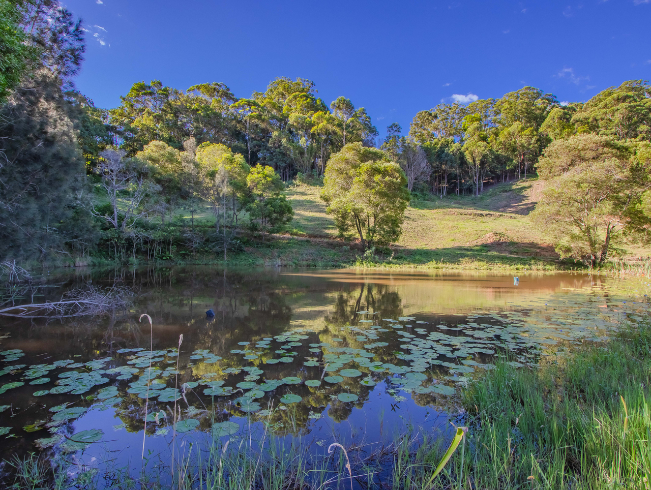 215 MCAULEYS ROAD, Terranora NSW 2486 - Image 7