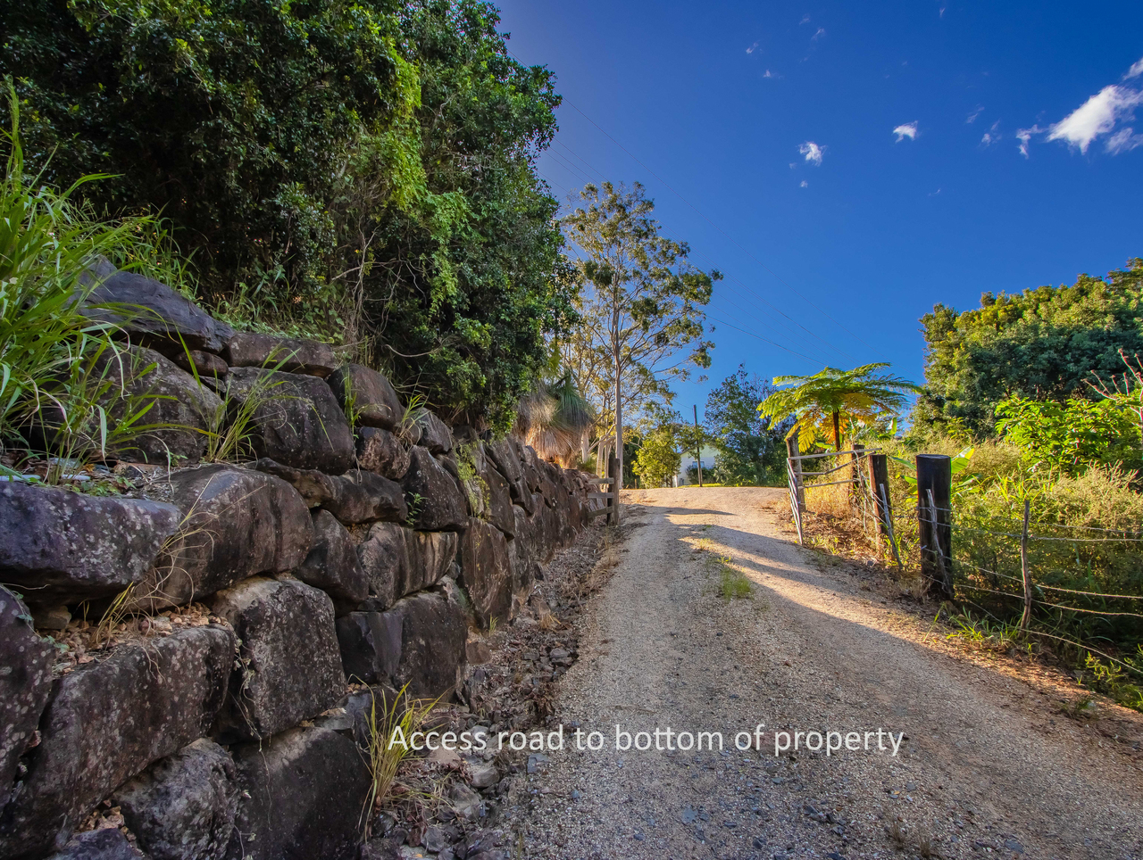 215 MCAULEYS ROAD, Terranora NSW 2486 - Image 9