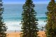 Photo - 215 Whale Beach Road, Whale Beach NSW 2107 - Image 6