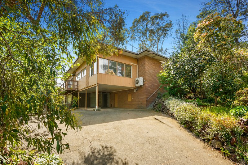 Photo - 215 Williamsons Road, Templestowe VIC 3106 - Image 5