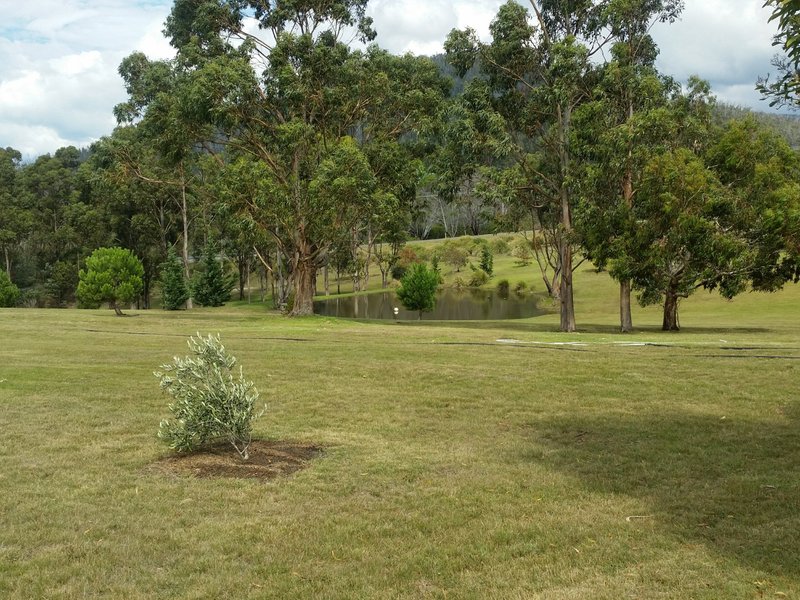 Photo - 21506 Tasman Highway, Four Mile Creek TAS 7215 - Image 16