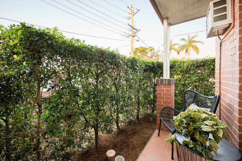 Photo - 2/151 Beatrice Terrace, Ascot QLD 4007 - Image 10