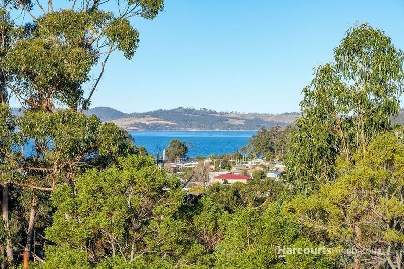 Photo - 2151 Channel Highway, Snug TAS 7054 - Image 19