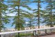 Photo - 215/54 West Esplanade, Manly NSW 2095 - Image 1