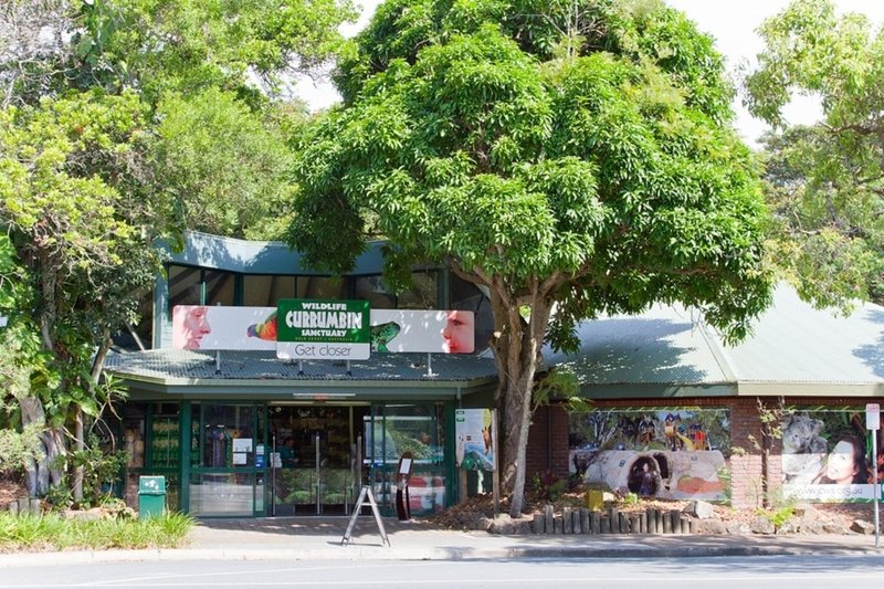 Photo - 21/560 Gold Coast Highway, Tugun QLD 4224 - Image 12