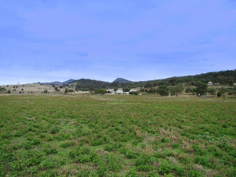 Photo - 2157 Jerrys Plains Road, Jerrys Plains NSW 2330 - Image 3