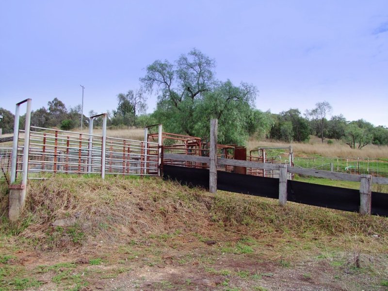 Photo - 2157 Jerrys Plains Road, Jerrys Plains NSW 2330 - Image 10