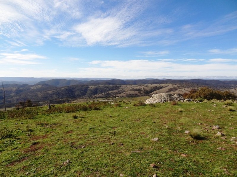 Photo - 216 Box Ridge Road, Turondale NSW 2795 - Image 3