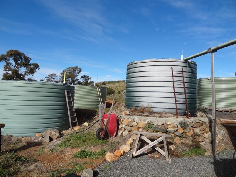 Photo - 216 Box Ridge Road, Turondale NSW 2795 - Image 9