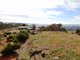 Photo - 216 Box Ridge Road, Turondale NSW 2795 - Image 18