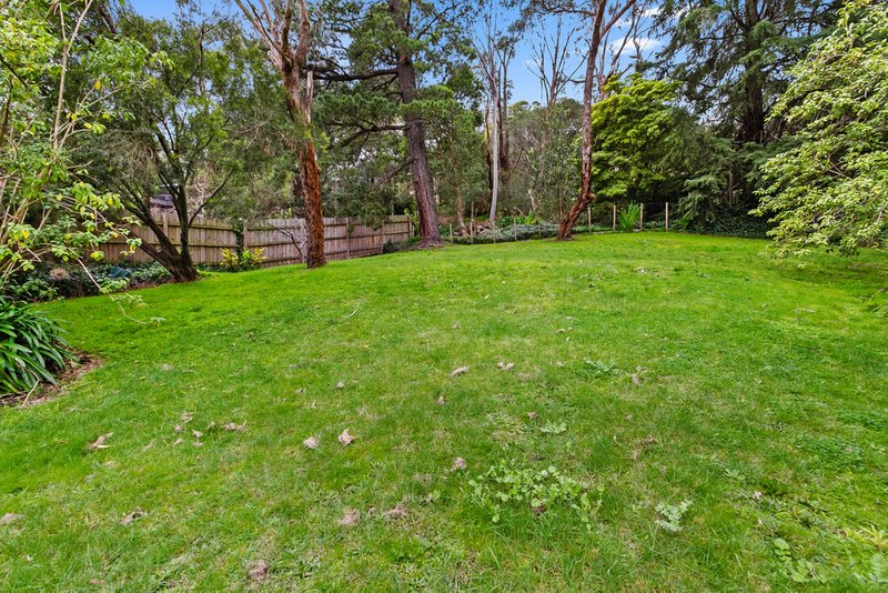 Photo - 216 Forest Road, Boronia VIC 3155 - Image 3