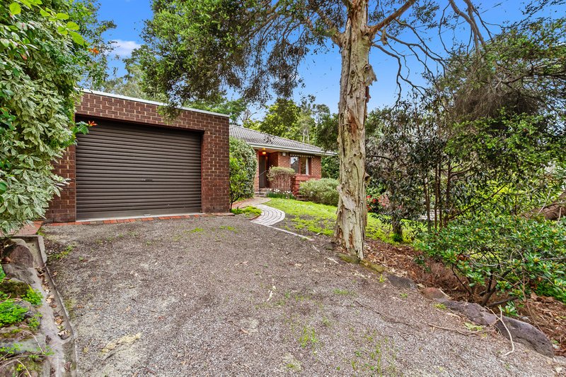 Photo - 216 Forest Road, Boronia VIC 3155 - Image 8