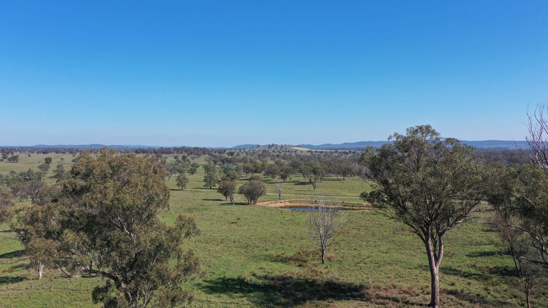 216 Mt Drummond Road, Bundarra NSW 2359