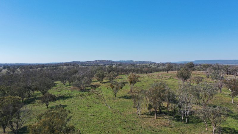 Photo - 216 Mt Drummond Road, Bundarra NSW 2359 - Image 9