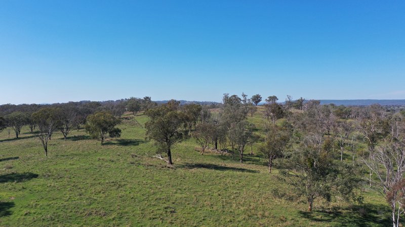 Photo - 216 Mt Drummond Road, Bundarra NSW 2359 - Image 12