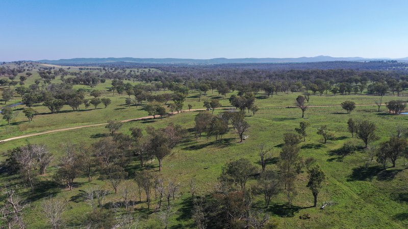 Photo - 216 Mt Drummond Road, Bundarra NSW 2359 - Image 16