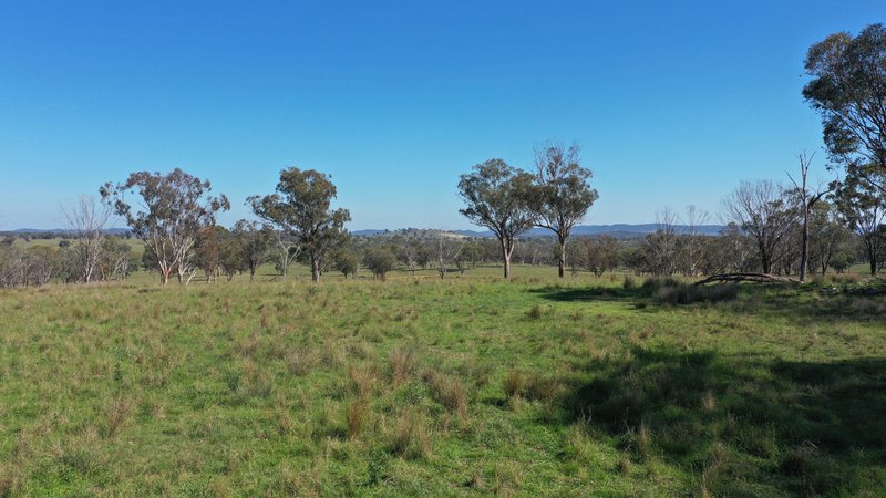 Photo - 216 Mt Drummond Road, Bundarra NSW 2359 - Image 18