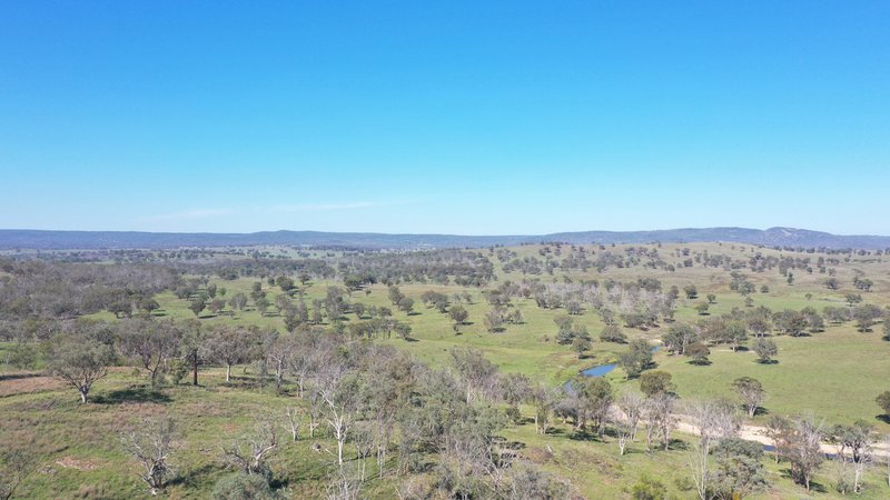 Photo - 216 Mt Drummond Road, Bundarra NSW 2359 - Image 19