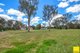 Photo - 216 Taylor Street, Armidale NSW 2350 - Image 2