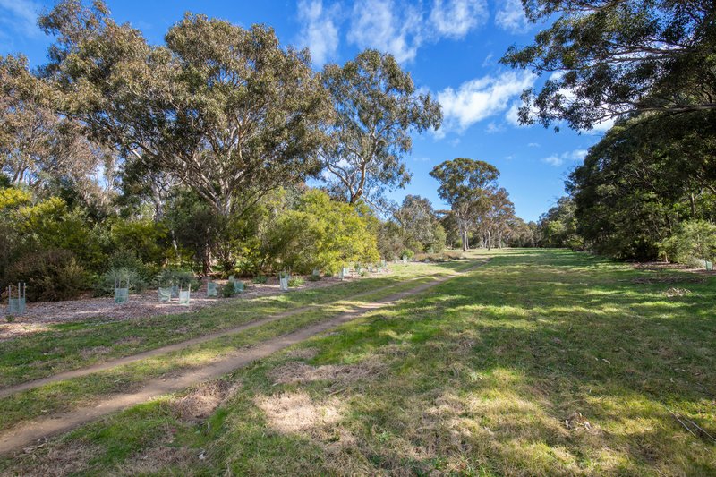 Photo - 216 Taylor Street, Armidale NSW 2350 - Image 6