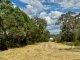 Photo - 216 Taylor Street, Armidale NSW 2350 - Image 10