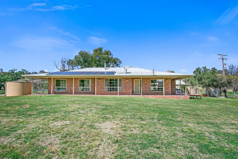 Photo - 216 Wisemans Arm Road, Tamworth NSW 2340 - Image 3