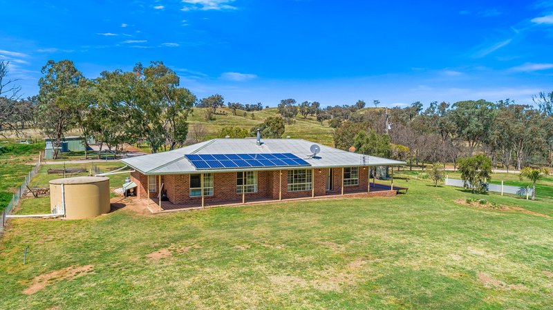 Photo - 216 Wisemans Arm Road, Tamworth NSW 2340 - Image 21