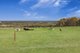 Photo - 2/1607 Chaunceys Line Road, Monarto South SA 5254 - Image 14