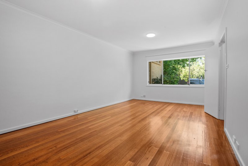 Photo - 2/163 Canterbury Road, Canterbury VIC 3126 - Image 4