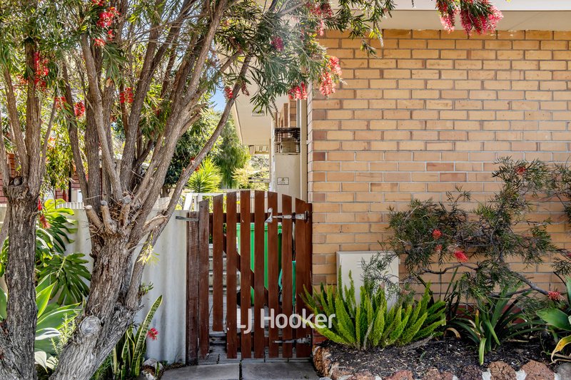 Photo - 2/164 Minninup Road, South Bunbury WA 6230 - Image 3