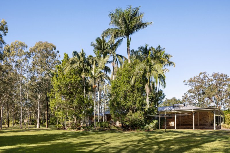 Photo - 217-237 Middle Road, Boronia Heights QLD 4124 - Image 3