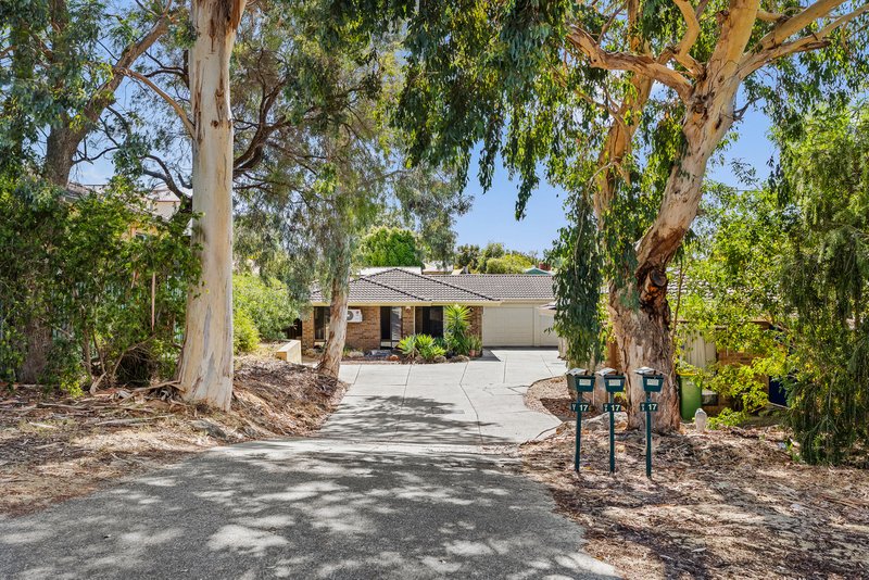 Photo - 2/17 Fitzroy Road, Rivervale WA 6103 - Image 1