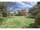 Photo - 217 Markham Street, Armidale NSW 2350 - Image 13