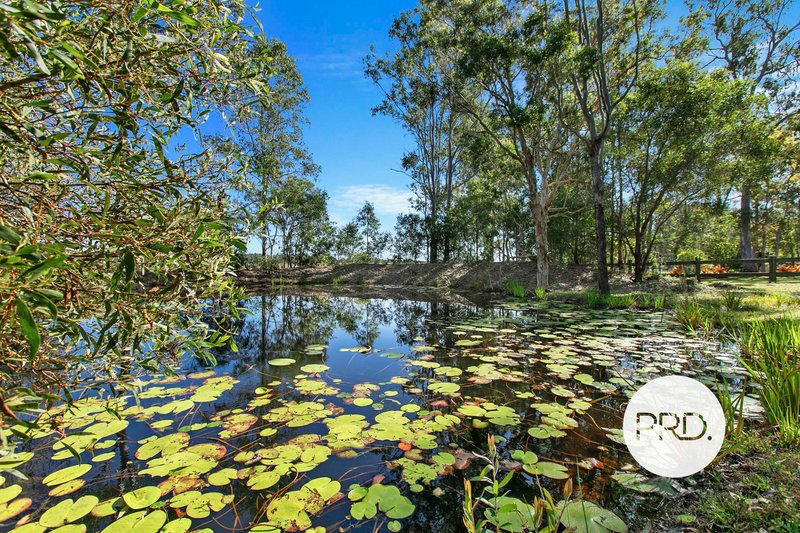 Photo - 217 River Road, Tinana QLD 4650 - Image 3