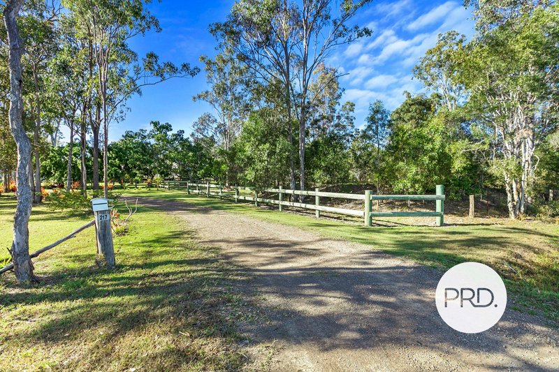 Photo - 217 River Road, Tinana QLD 4650 - Image 5