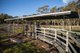 Photo - 217 Summers Road, Maybole NSW 2365 - Image 2