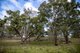 Photo - 217 Summers Road, Maybole NSW 2365 - Image 14